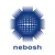 NEBOSH health and safety certification badge