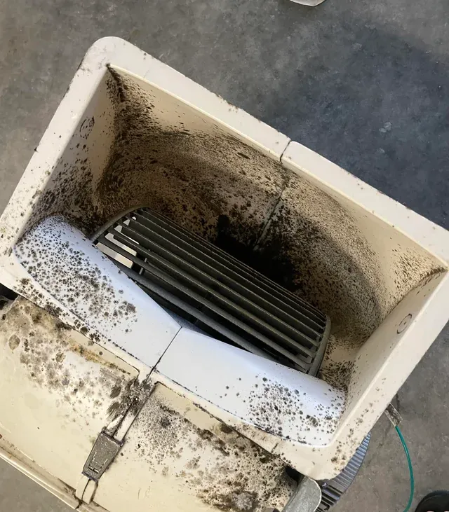 MVHR fan housing accumulated dust from missing filtration Heavily dusted MVHR fan housing showing poor maintenance in Shoreham new-build flat